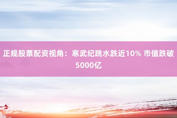 正规股票配资视角：寒武纪跳水跌近10% 市值跌破5000亿